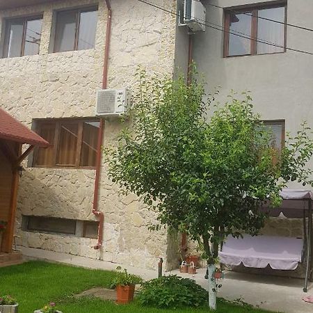 Casa Andrei Techirghiol Ξενοδοχείο Εξωτερικό φωτογραφία