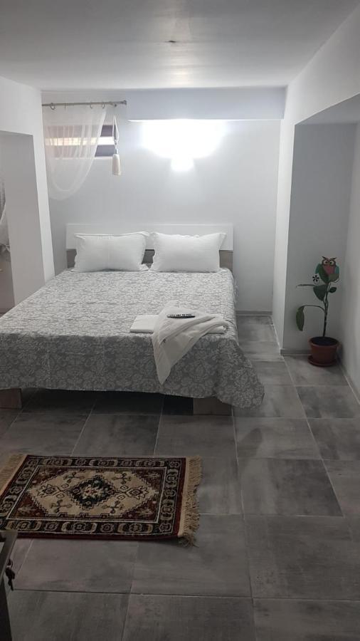 Casa Andrei Techirghiol Ξενοδοχείο Εξωτερικό φωτογραφία