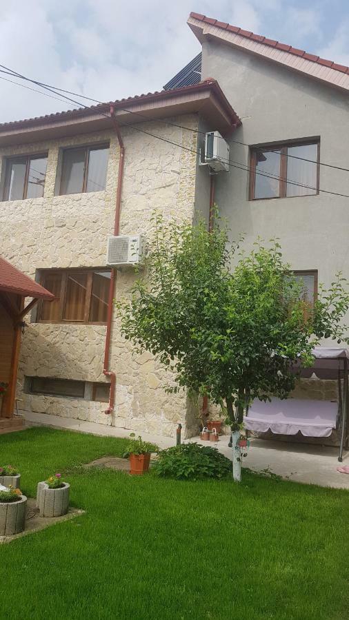 Casa Andrei Techirghiol Ξενοδοχείο Εξωτερικό φωτογραφία